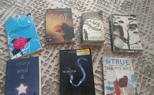 Novels/chapter books bundle with 6